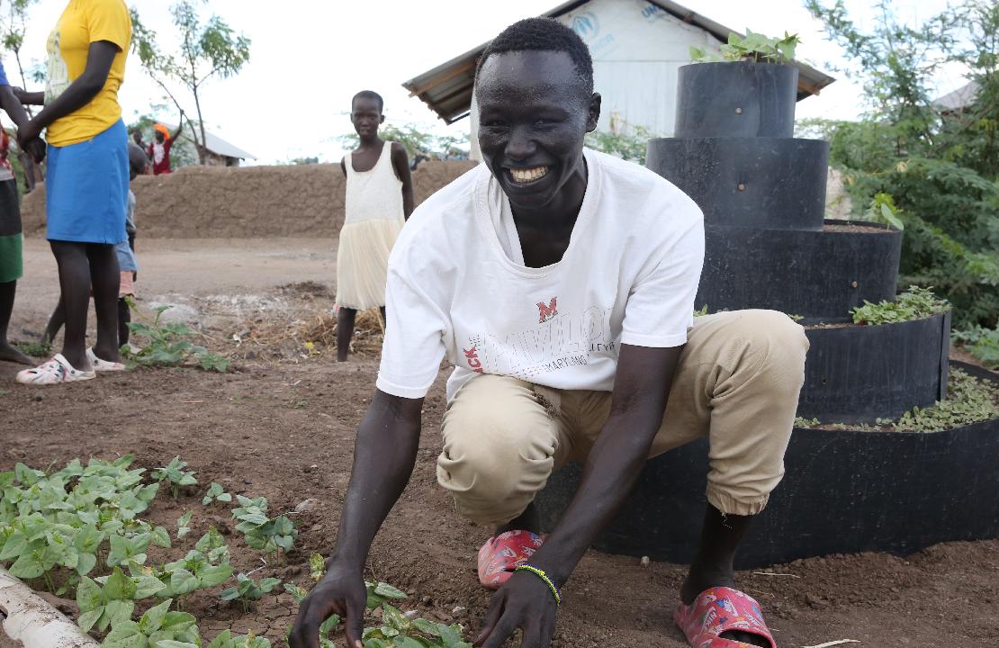 캠프 앞마당에 위치한 락슨 씨의 텃밭